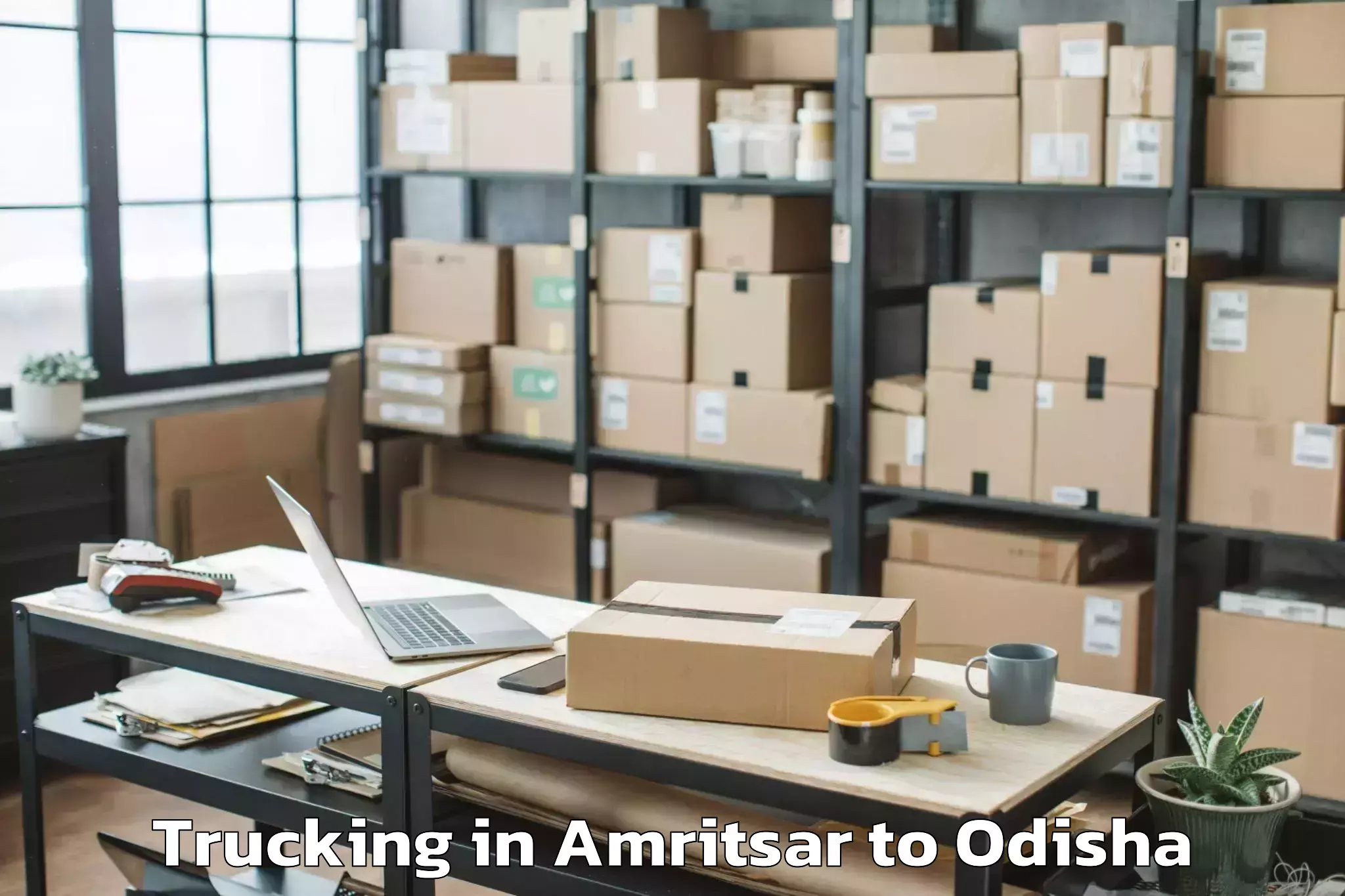 Book Amritsar to Purunakot Trucking Online